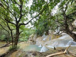 Panduan Wisata Grobogan Sewu Trenggalek 2026: Rute dan Tiket