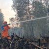 OMC IKN Kejar Hujan, Karhutla Kaltim Capai 752 Hektare