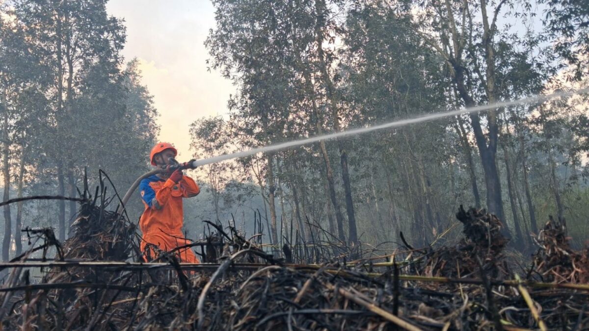 OMC IKN Kejar Hujan, Karhutla Kaltim Capai 752 Hektare