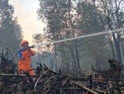 OMC IKN Kejar Hujan, Karhutla Kaltim Capai 752 Hektare