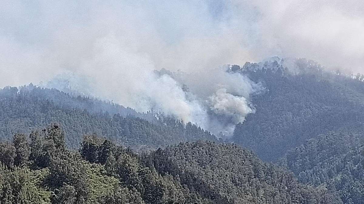 Kebakaran TNBTS Hanguskan 160 Hektare Lahan Serta Ancam Satwa Liar
