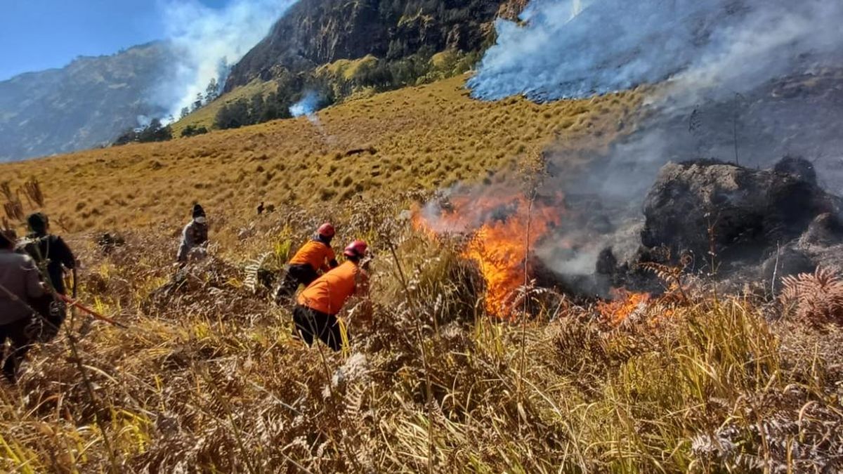 Dampak Kebakaran Bromo, Akses Wisata Malang Ditutup Total