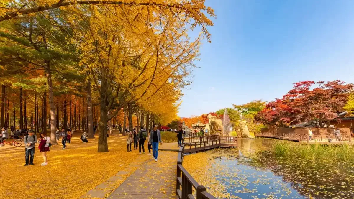 Panduan Musim dan Rute Tour Korea Selatan untuk Pemula