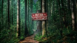BRIN dan Kemenhut Diperiksa dalam Kasus Korupsi Kawasan Hutan