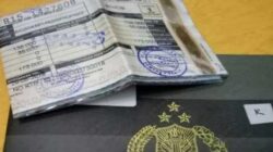 Enam Provinsi Gelar Pemutihan Pajak Kendaraan hingga 30 September 2026