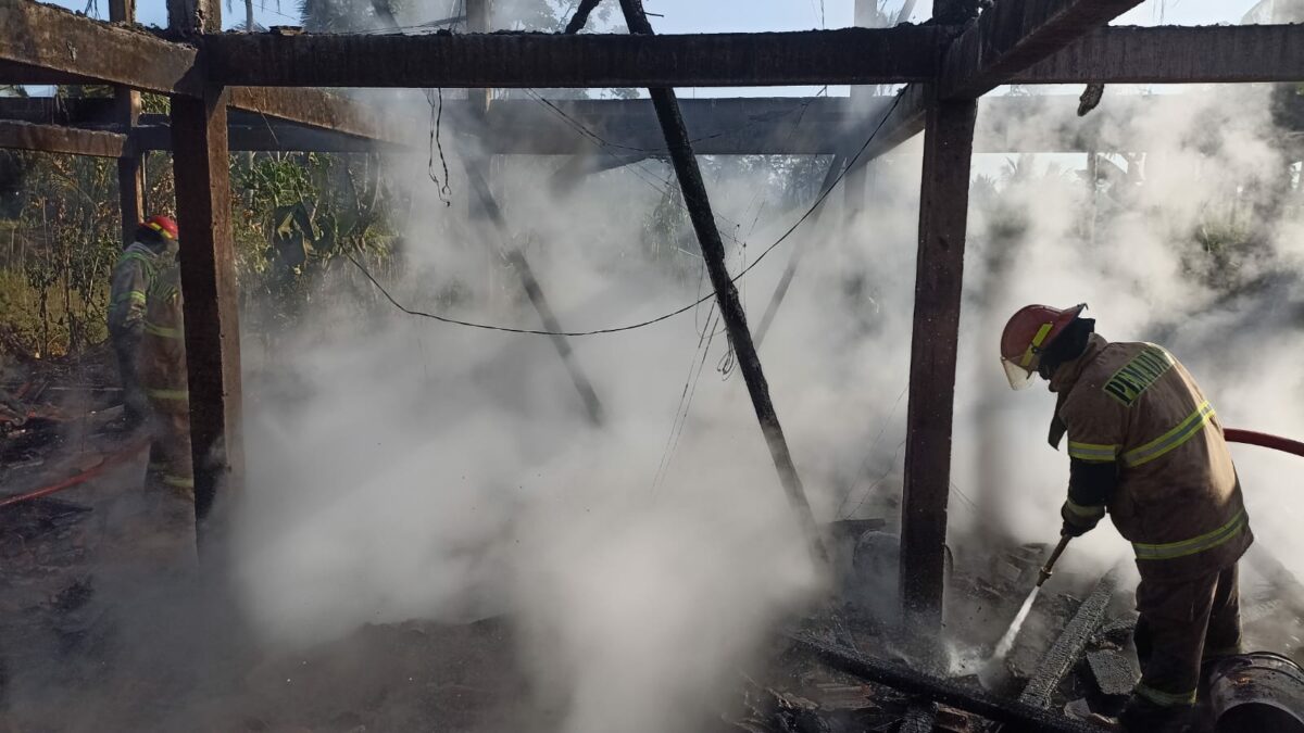 Diduga Konsleting Listrik, Kandang Ayam Terbakar Kerugian Ditaksir Rp 1 Miliar