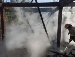 Diduga Konsleting Listrik, Kandang Ayam Terbakar Kerugian Ditaksir Rp 1 Miliar