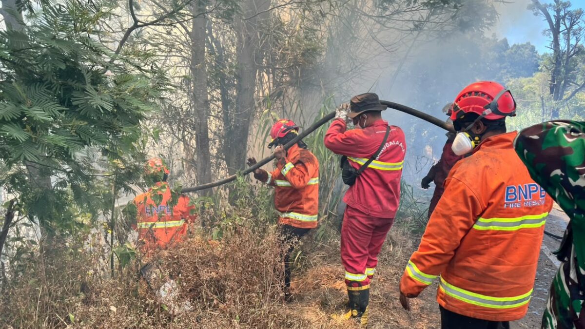 Penanganan Pemadaman Karhutla Berlanjut di Sejumlah Gunung dan Hutan di  Jawa Timur