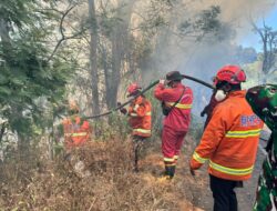 Penanganan Pemadaman Karhutla Berlanjut di Sejumlah Gunung dan Hutan di  Jawa Timur