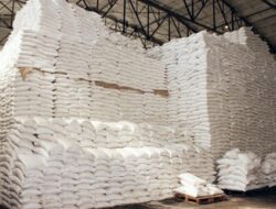 Impor Gula 150.000 Ton Dibuka Saat Musim Giling, Petani Tebu Kembali Tertekan