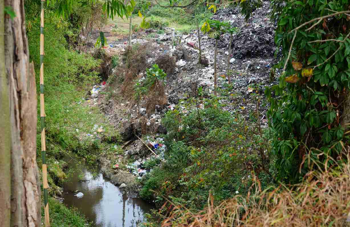 Kondisi aliran Sungai Bango dengan vegetasi dan material di sekitar bantaran sungai.