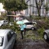 Angin Kencang Jelang Musim Hujan, Pakar ITS Ingatkan Risiko Pohon Tumbang