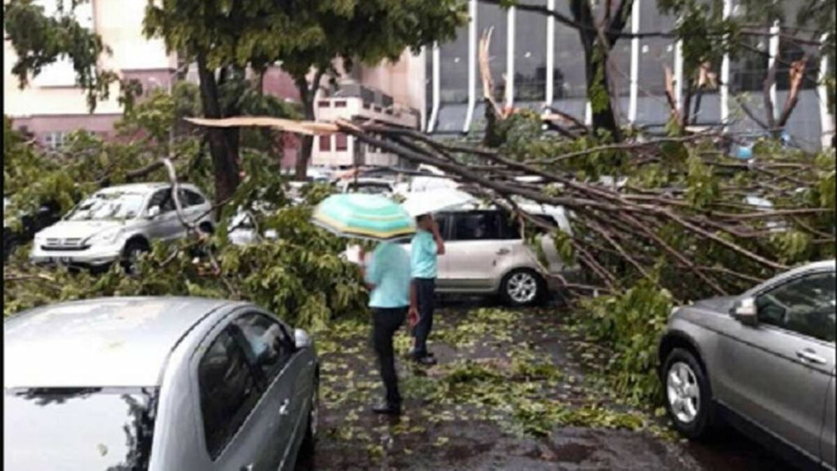 Pohon tumbang akibat angin kencang di kawasan perkotaan
