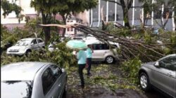 Pohon tumbang akibat angin kencang di kawasan perkotaan