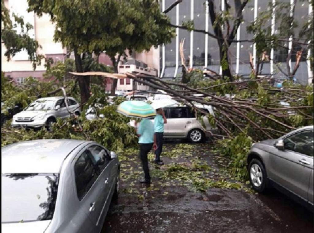 Pohon tumbang akibat angin kencang di kawasan perkotaan