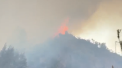 Karhutla Kembali Terjadi, Gunung Bromo Ditutup Total Mulai 12 September 2026