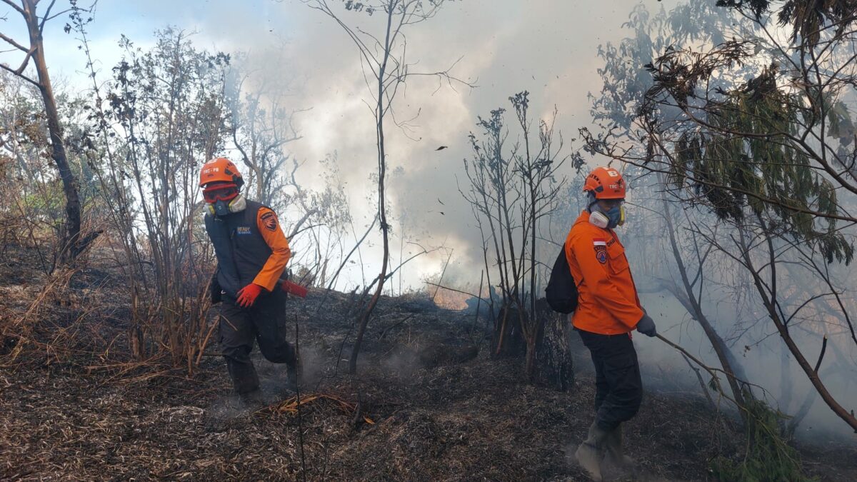 Karhutla Gunung Panderman-Butak, Jalur Pendakian Ditutup dan Ratusan Pendaki Dievakuasi