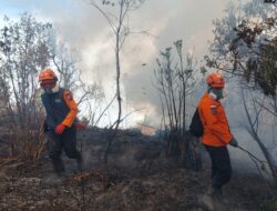 Karhutla Gunung Panderman-Butak, Jalur Pendakian Ditutup dan Ratusan Pendaki Dievakuasi