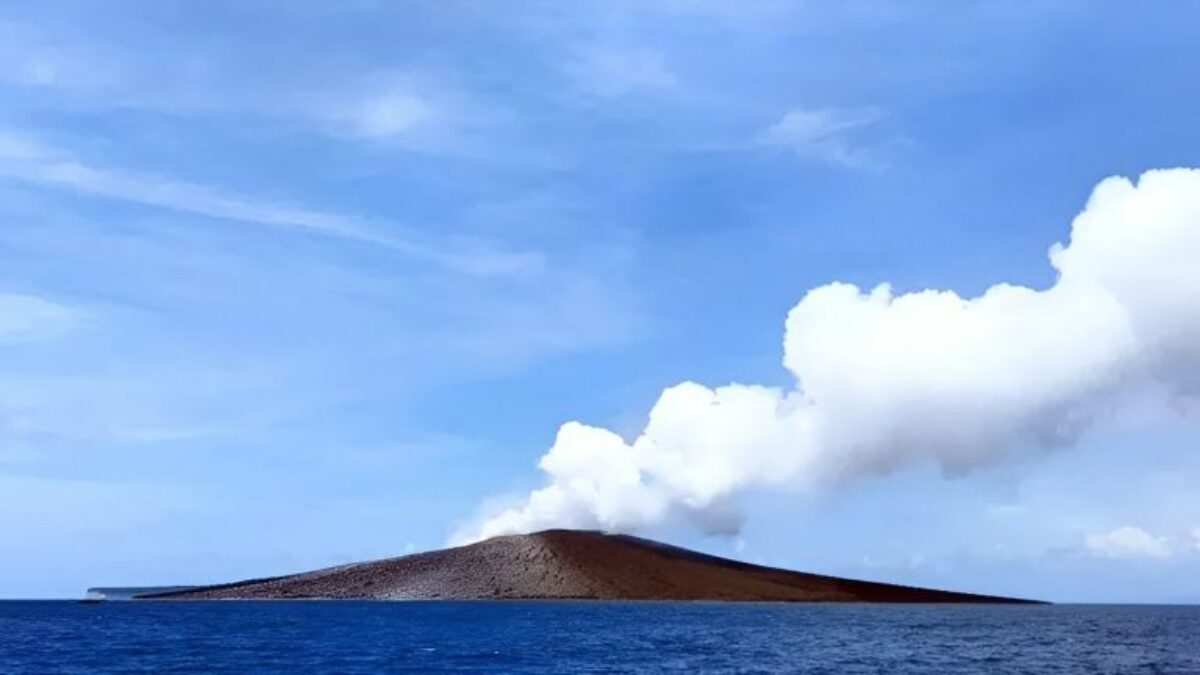 Erupsi Bukan Akhir Kehidupan, Begini Alam Pulih di Krakatau