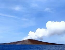 Erupsi Bukan Akhir Kehidupan, Begini Alam Pulih di Krakatau