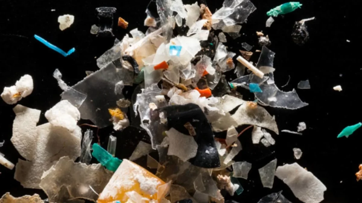 Studi Terbaru Kaitkan Paparan Mikroplastik dengan Kesehatan Reproduksi Perempuan
