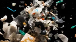 Studi Terbaru Kaitkan Paparan Mikroplastik dengan Kesehatan Reproduksi Perempuan