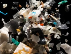 Studi Terbaru Kaitkan Paparan Mikroplastik dengan Kesehatan Reproduksi Perempuan