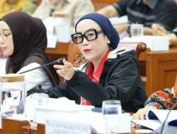 Selly Miris OTT BNPB di Tengah Bencana, Minta Layanan untuk Warga Tak Terganggu