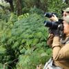 Birdwatching Mulai Dilirik sebagai Hobi Liburan, Bagaimana Cara Memulainya?