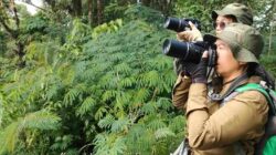 Birdwatching Mulai Dilirik sebagai Hobi Liburan, Bagaimana Cara Memulainya?