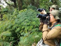 Birdwatching Mulai Dilirik sebagai Hobi Liburan, Bagaimana Cara Memulainya?