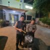 Empat Orang Diamankan Terkait Pencurian Tiga Laptop di SDN Mangliawan Malang