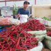 Harga Cabai Rawit Naik 99,5 Persen, Risiko Inflasi Pangan Mengintai hingga Akhir 2026