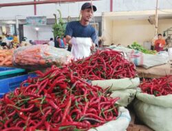 Harga Cabai Rawit Naik 99,5 Persen, Risiko Inflasi Pangan Mengintai hingga Akhir 2026