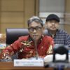 Putusan MK Jadi Momentum Pembenahan Sistem Kebencanaan Nasional