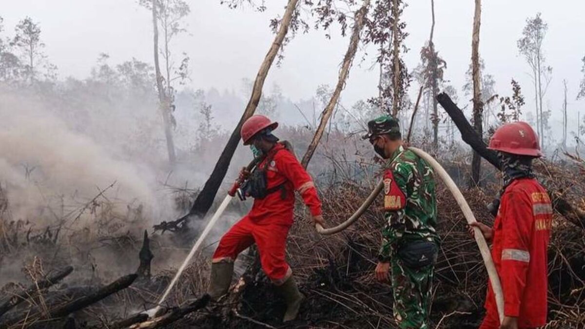 Hotspot Karhutla Melonjak, Sumatera Selatan Catat 131 Titik dan Enam Perusahaan Kena Sanksi