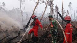 Hotspot Karhutla Melonjak, Sumatera Selatan Catat 131 Titik dan Enam Perusahaan Kena Sanksi