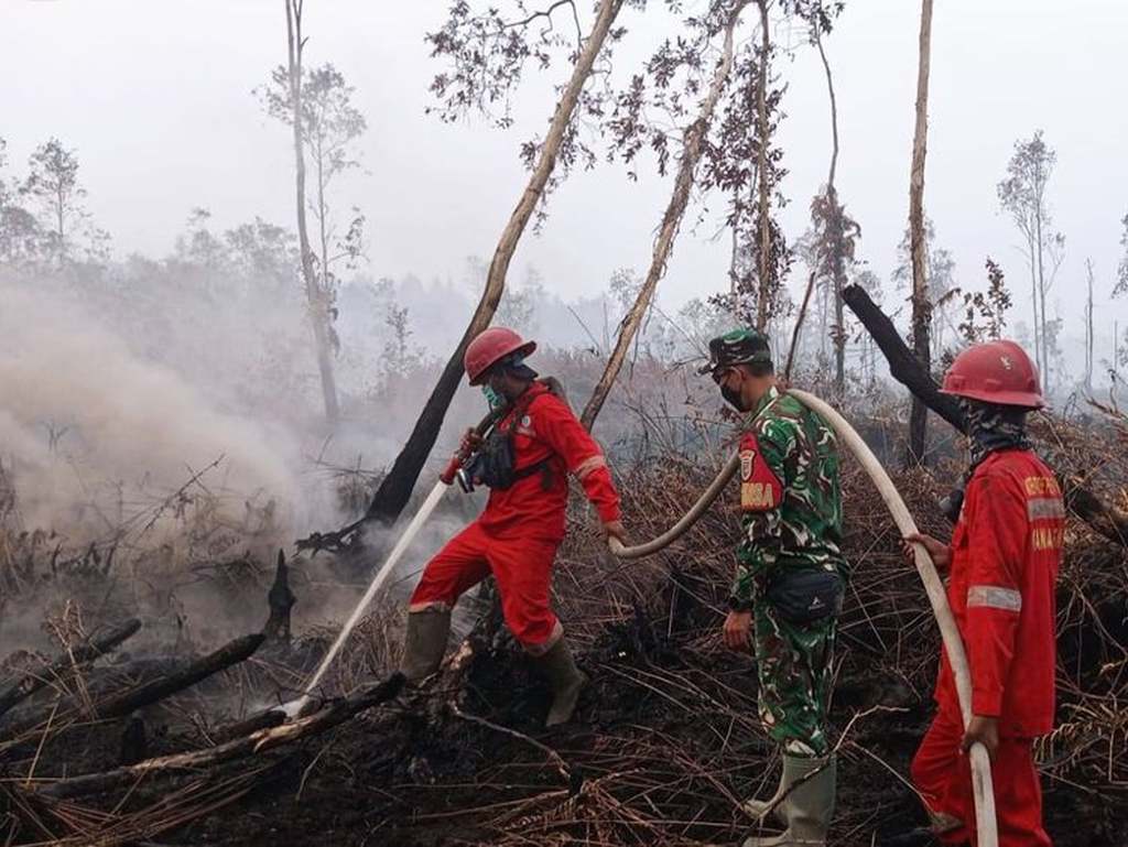 Petugas memadamkan kebakaran hutan dan lahan gambut di tengah peningkatan hotspot karhutla.