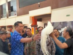 Ratusan Hewan Hias Ramaikan Piala Rektor Satwa Brawijaya 2026, Ayam Sultan Jadi Daya Tarik