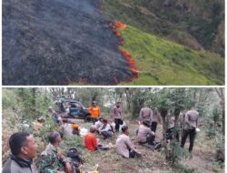 Sebanyak 8 Titik Api Terdeteksi di Arjuno, Tim Gabungan Berjibaku Padamkan Kebakaran Tahura R. Soerjo