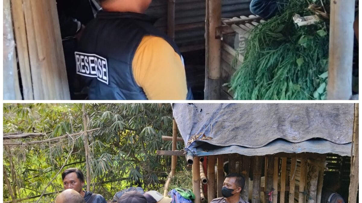 Pemuda 22 Tahun Ditemukan Tewas di Kandang Kambing, Polisi Selidiki Penyebabnya