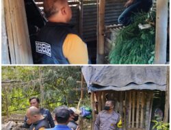 Pemuda 22 Tahun Ditemukan Tewas di Kandang Kambing, Polisi Selidiki Penyebabnya
