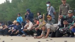 Mengenal BSTC, Pusat Konservasi Penyu di Pesisir Selatan Kabupaten Malang