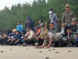 Mengenal BSTC, Pusat Konservasi Penyu di Pesisir Selatan Kabupaten Malang
