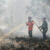 Kabut Asap Hambat Water Bombing, Karhutla Tanjung Puting Ancam Habitat Orangutan