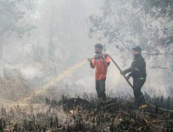 Kabut Asap Hambat Water Bombing, Karhutla Tanjung Puting Ancam Habitat Orangutan