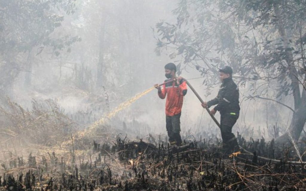 Penanganan kebakaran hutan dan lahan di kawasan Taman Nasional Tanjung Puting yang menjadi habitat orangutan.