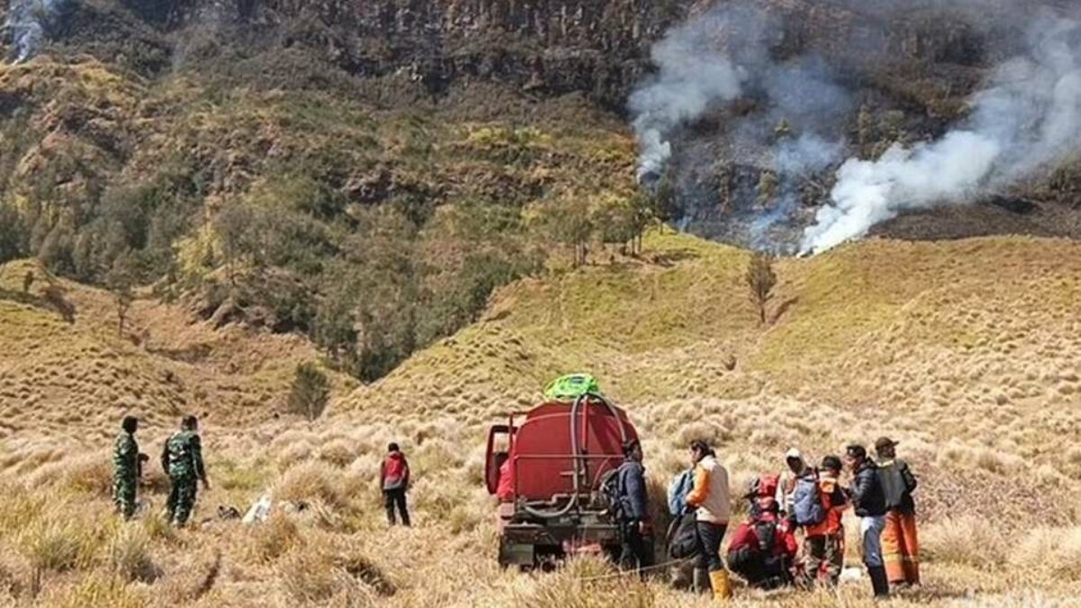 Empat Petugas Gugur saat Padamkan Karhutla Bromo, Api Sulit Dijangkau