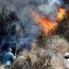 Karhutla Gunung Arjuno-Ringgit Belum Padam, 170,39 Hektare Hutan Mojokerto Terbakar