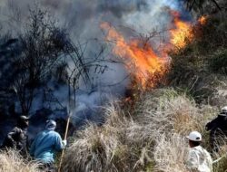 Karhutla Gunung Arjuno-Ringgit Belum Padam, 170,39 Hektare Hutan Mojokerto Terbakar